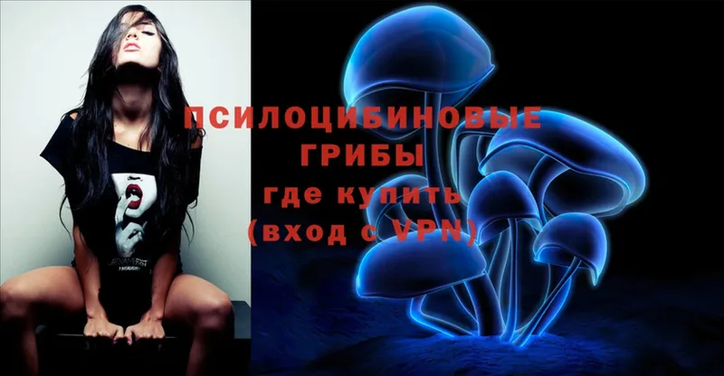 Псилоцибиновые грибы Psilocybe  kraken онион  Краснокамск 